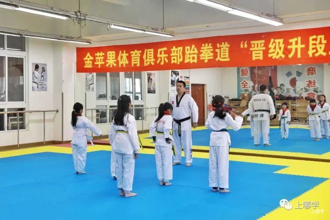 择校怎么选？站在未来看现在，这所学校是如何因材施教培养“未来型人才”？相关资料 18