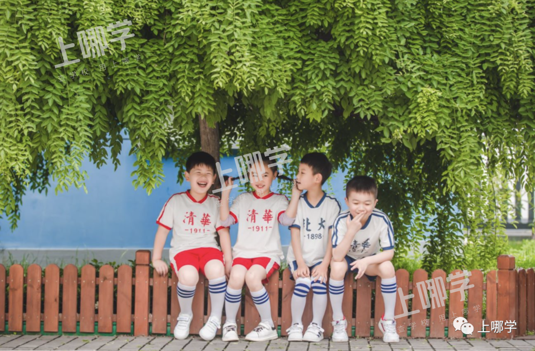 美爆了！上海20所小学超美毕业照来袭！福外、卢湾、交大附小等，你pick哪所？相关资料 41