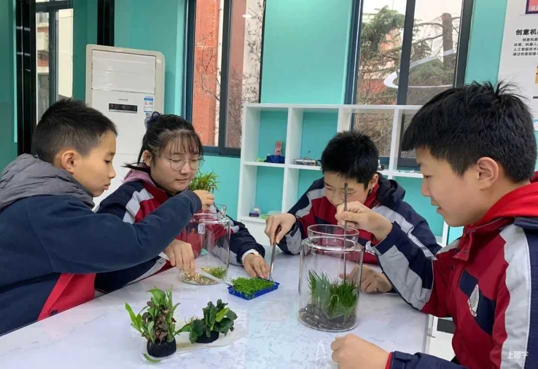 教育部点名！上海10所学校上榜！相关资料 28