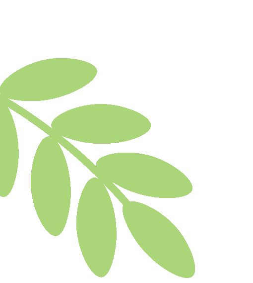 上海音乐学院附属安师实验中学管弦乐团 2026年招生简章相关资料 5