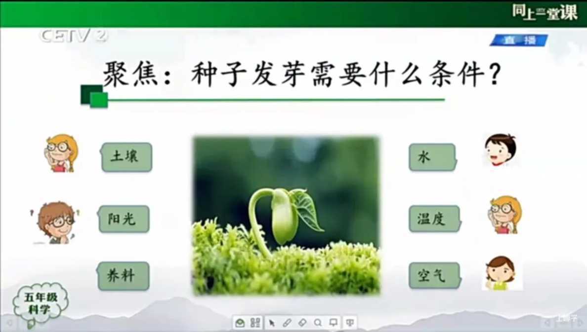 寓教于乐！这些绿叶菜的根别扔！水上菜园，带娃一起见证植物的生长！相关资料 34