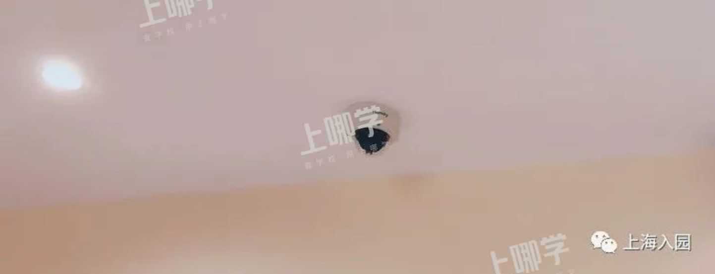爱菊托育园｜美爆了！上海这所开在公园里的超热门托育园，双语教学，还可晚托到18点！相关资料 68