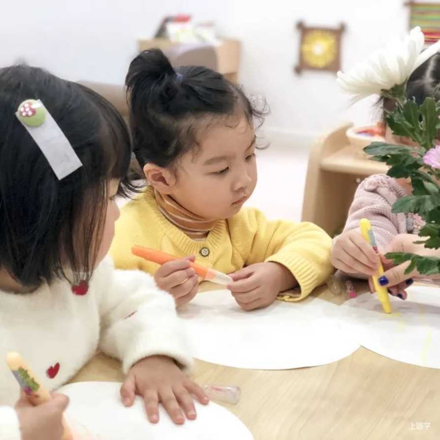 嘉乐贝贝托班春季招生开始咯相关资料 19