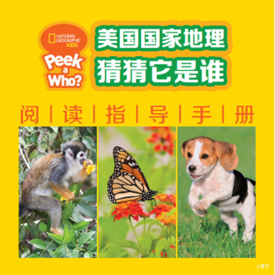42本49元！可点读的「美国国家地理」！ 动物主题+英文猜谜，这才是2-7岁孩子更爱的英语启蒙方式！相关资料 17