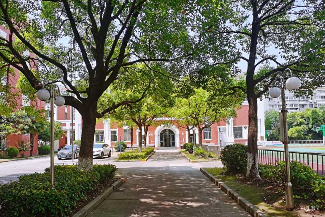 招生超严！上海这6所民办中小学不符合要求无法报名！部分需学籍在上海，快看有你的目标学校没？相关资料 7