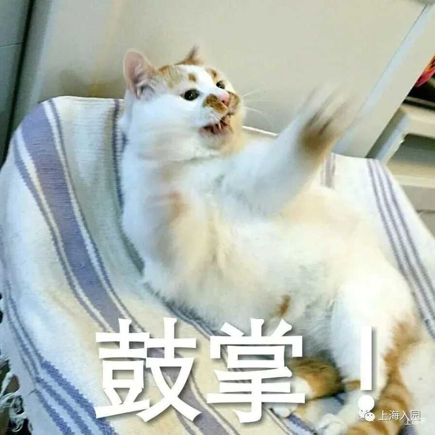 收藏！上海示范园招生方式最全解析！宋庆龄、中福会全市招生！21所全区招生值得一试！相关资料 2
