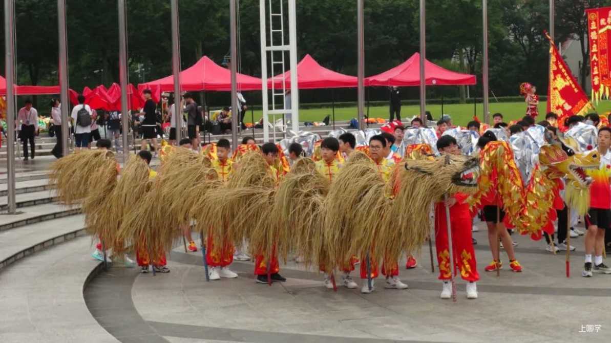 厉害了！上海这34所小学拿下了“国家级”荣誉！马上要全国闻名了！快看有你的母校吗？相关资料 29
