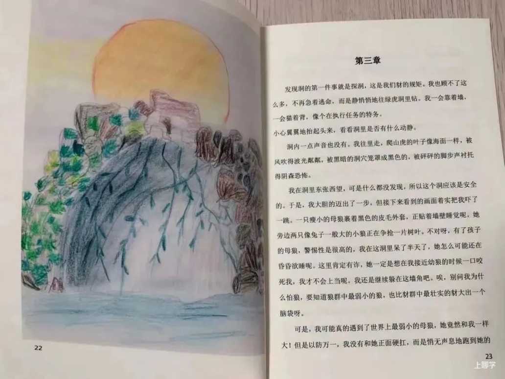 闵行这所双语小学线上分享会来啦！有校车，可直升，全市招生！相关资料 16