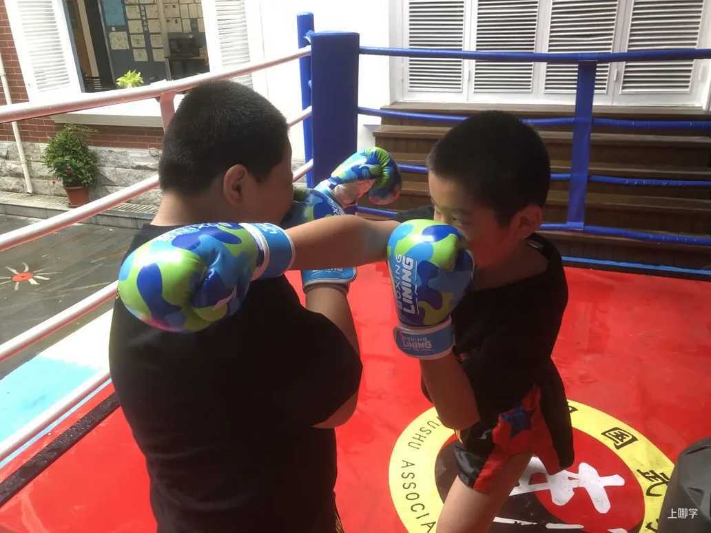 操场上的学校丨洵阳路小学：小操场 大体育相关资料 7