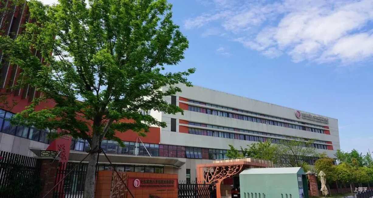 秋季学位提前锁定！这批民办小学周末开放日预约中相关资料 55