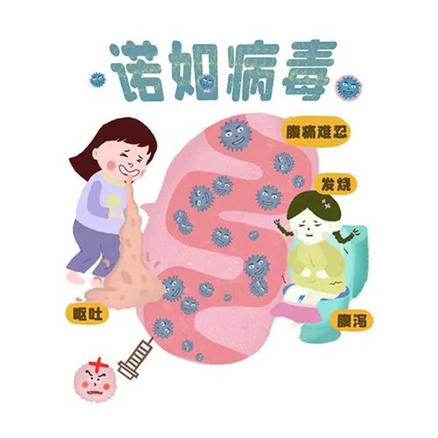 冬季如何防范诺如病毒？相关资料