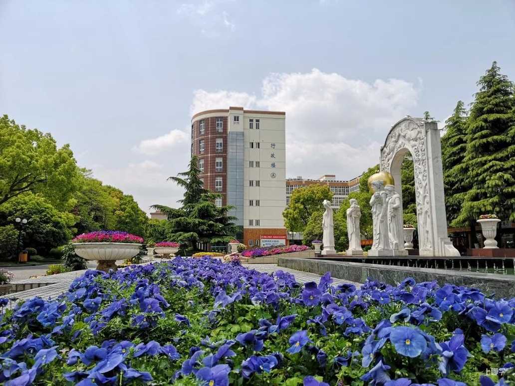 家长注意！金苹果中小学“插班生”报名登记正式开启！需提前登记！附预约通道～相关资料 21