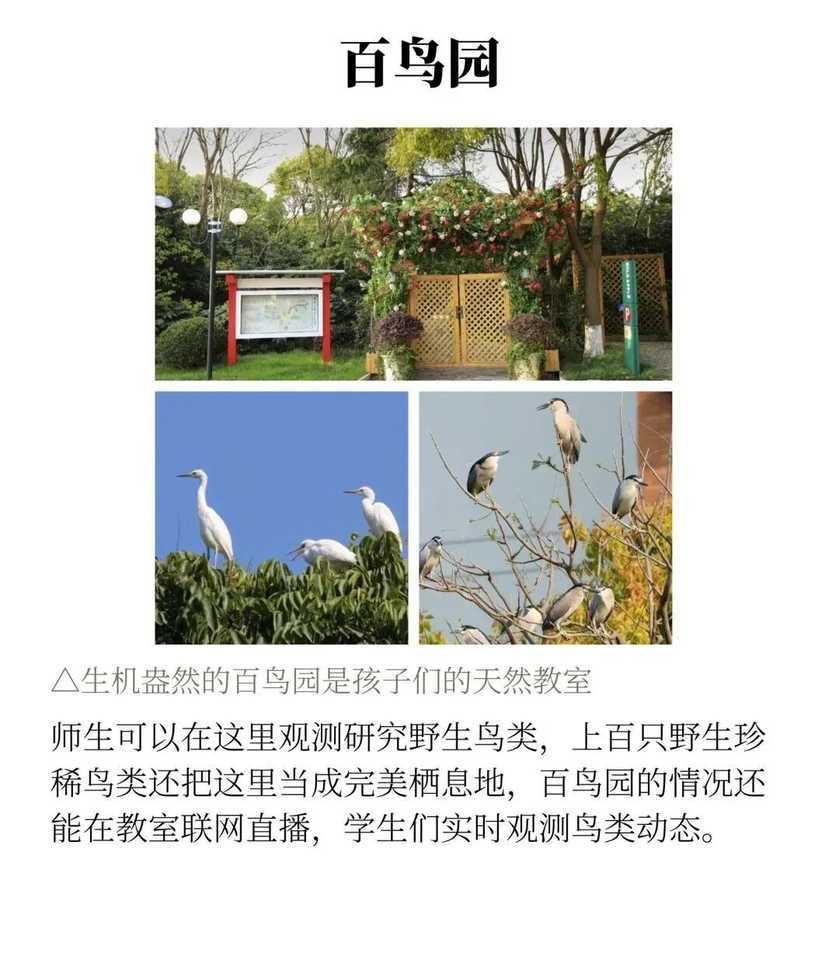 上海这所体制内老牌民办学校，办校21年，全市招生不限户籍！相关资料 3