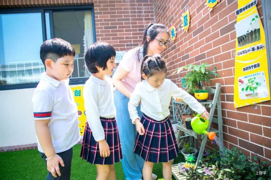 又一所高端幼儿园！开办即获IB认证！集团化办学优势，已开启线上咨询相关资料 5