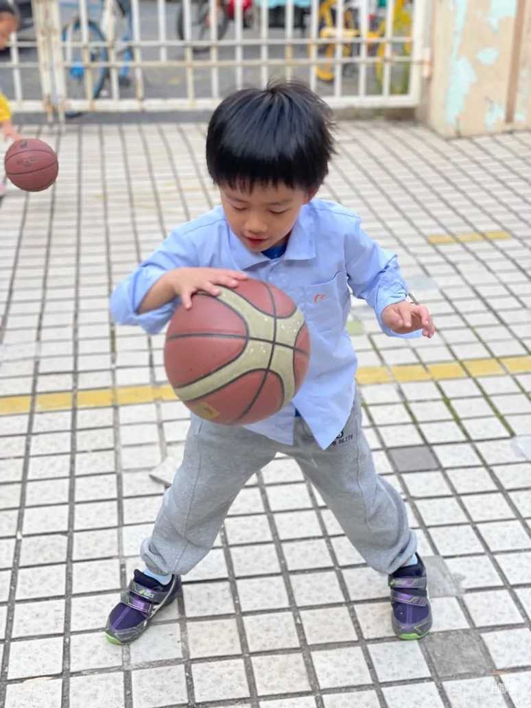 上海宝山区高境贝贝马艺术幼儿园开始招生啦！！！相关资料 86