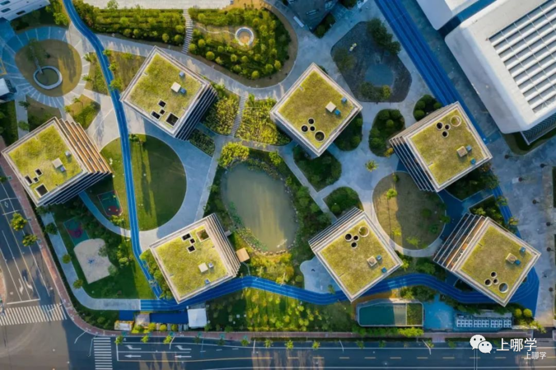 可跨区填报！2025年上海全市招生民办小学名单出炉，今年新增2所！多校减招！相关资料 40