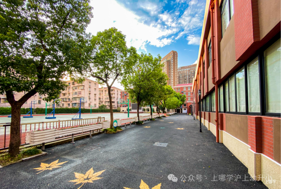 静安区幼小初高教育资源全分析！相关资料 18
