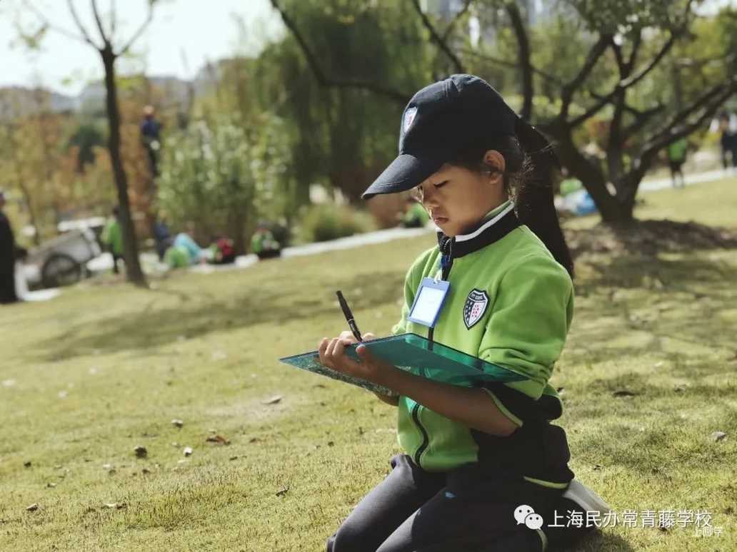 浦东家长注意！这所融合课程小学，素质教育抓得紧！相关资料 49