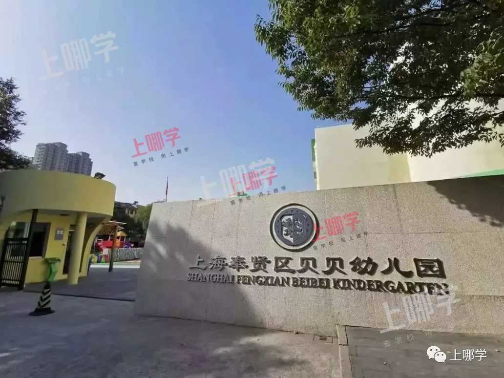 上海这个区教育发展太快了！世外、华理、上师大签约落地！今年再添上中新校，实力大提升！相关资料 9