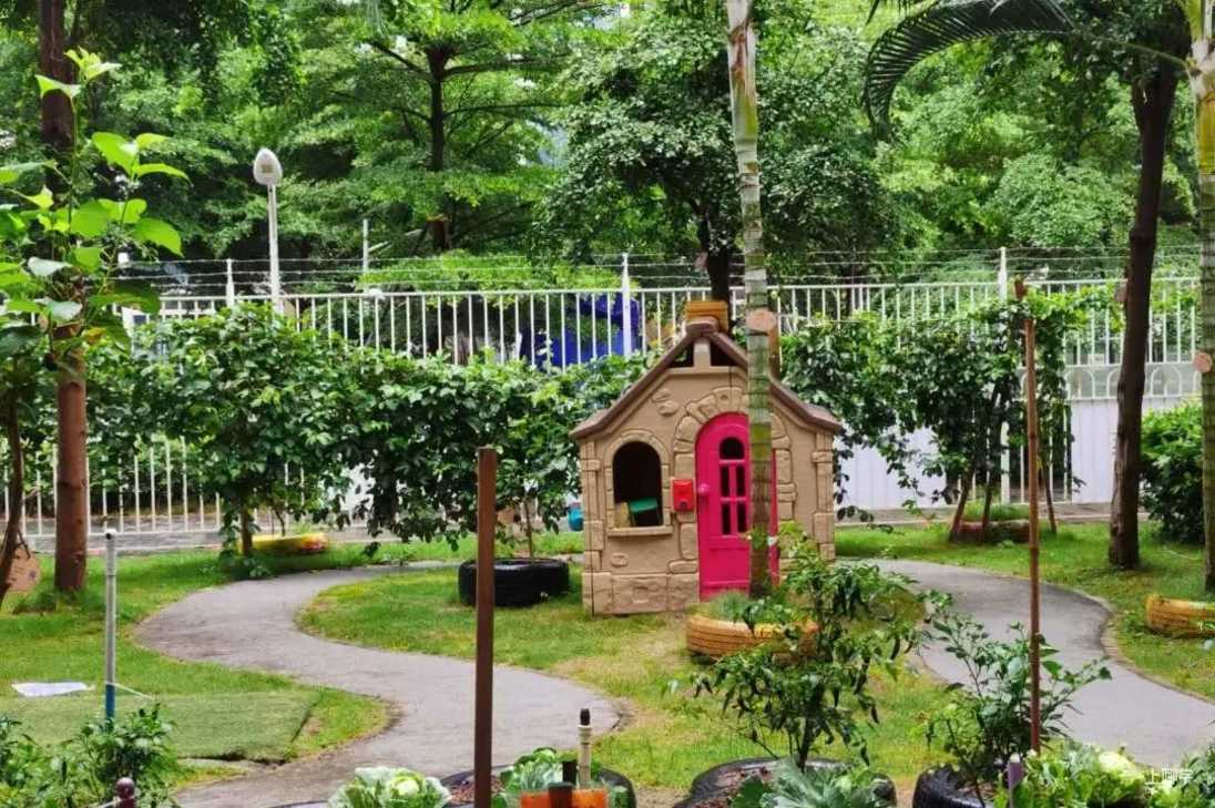 龙舟万里远航深圳市南山区龙海家园25栋幼儿园0755-88986600园长邮箱