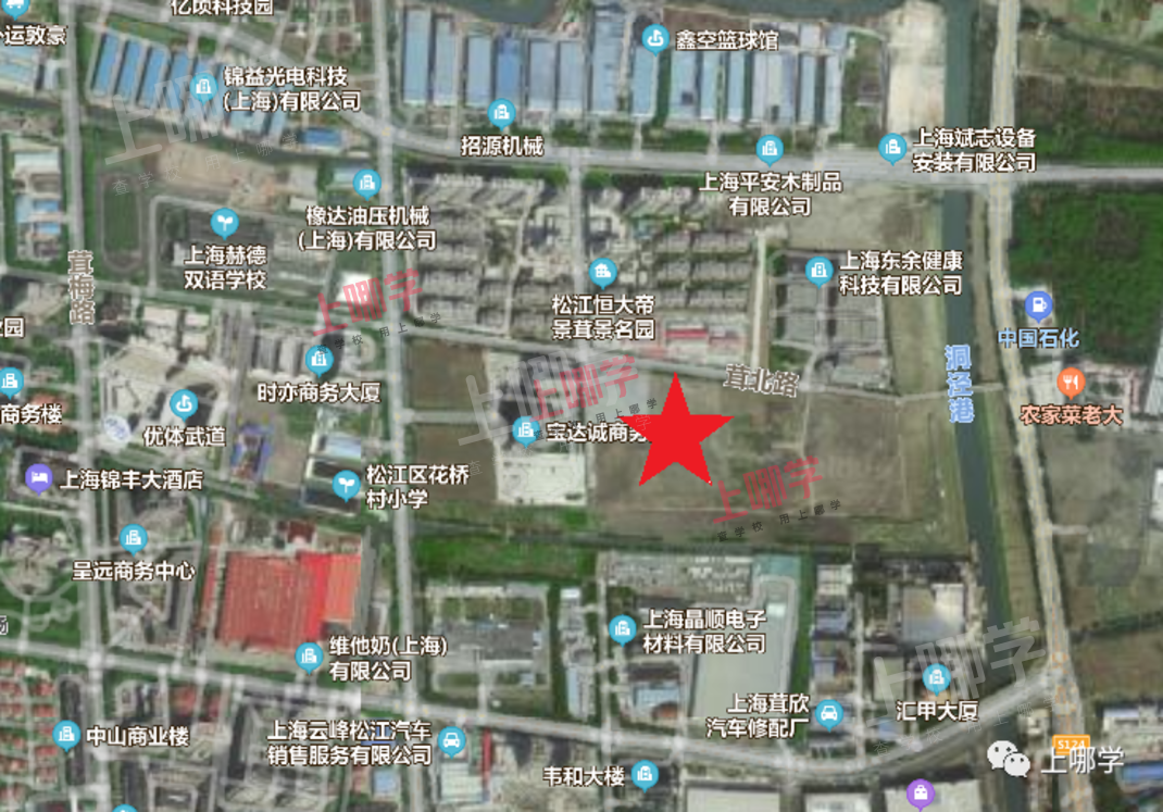 重磅好消息！上海这个区将新建一所协和双语学校！齐聚华二、上外附中等品牌校，教育资源即将腾飞！相关资料 10