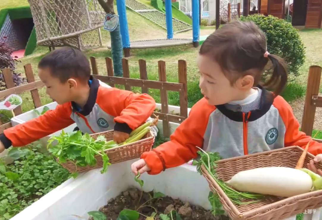 科学作息，健康生活，幼儿居家健康生活指南！相关资料 16