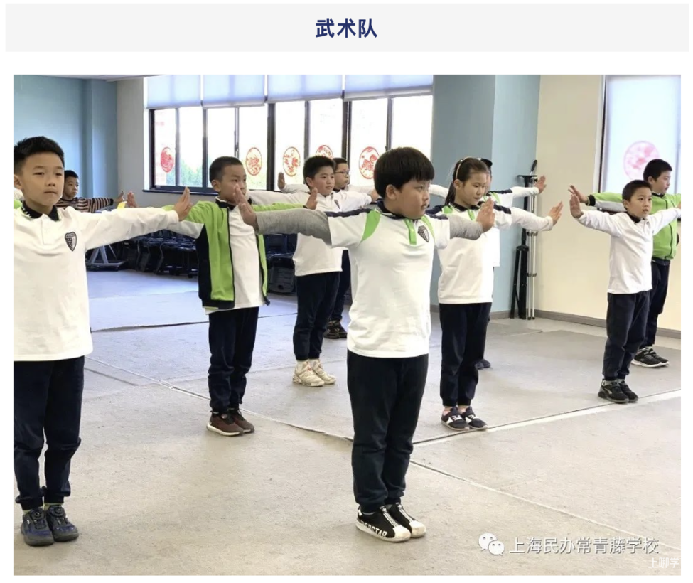 浦东家长注意！这所融合课程小学，素质教育抓得紧！相关资料 11