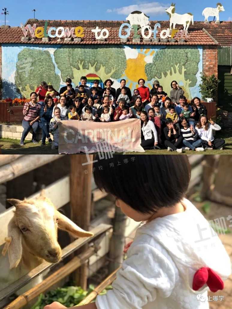 托班开放日限额来袭！黄浦区这家托育园带你体验PBL托班的教学特色相关资料 22