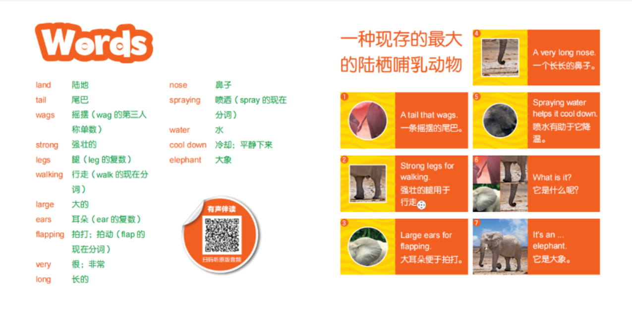 42本49元！可点读的「美国国家地理」！ 动物主题+英文猜谜，这才是2-7岁孩子更爱的英语启蒙方式！相关资料 25
