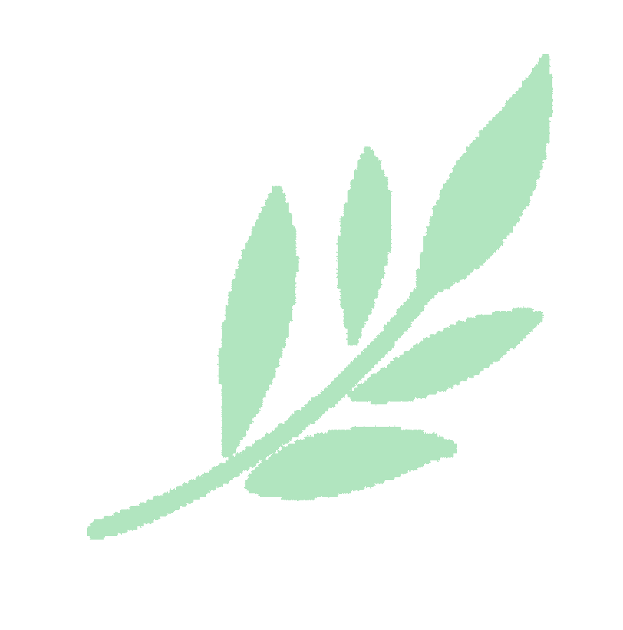 上海这一区少科站暑期云课堂今日上线！14个项目！20节课程！相关资料 22