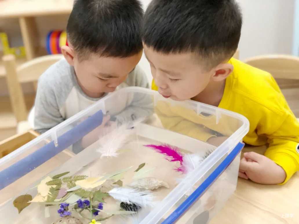 【220513三条 ok】接招！“花花世界”的宝藏玩法相关资料 18