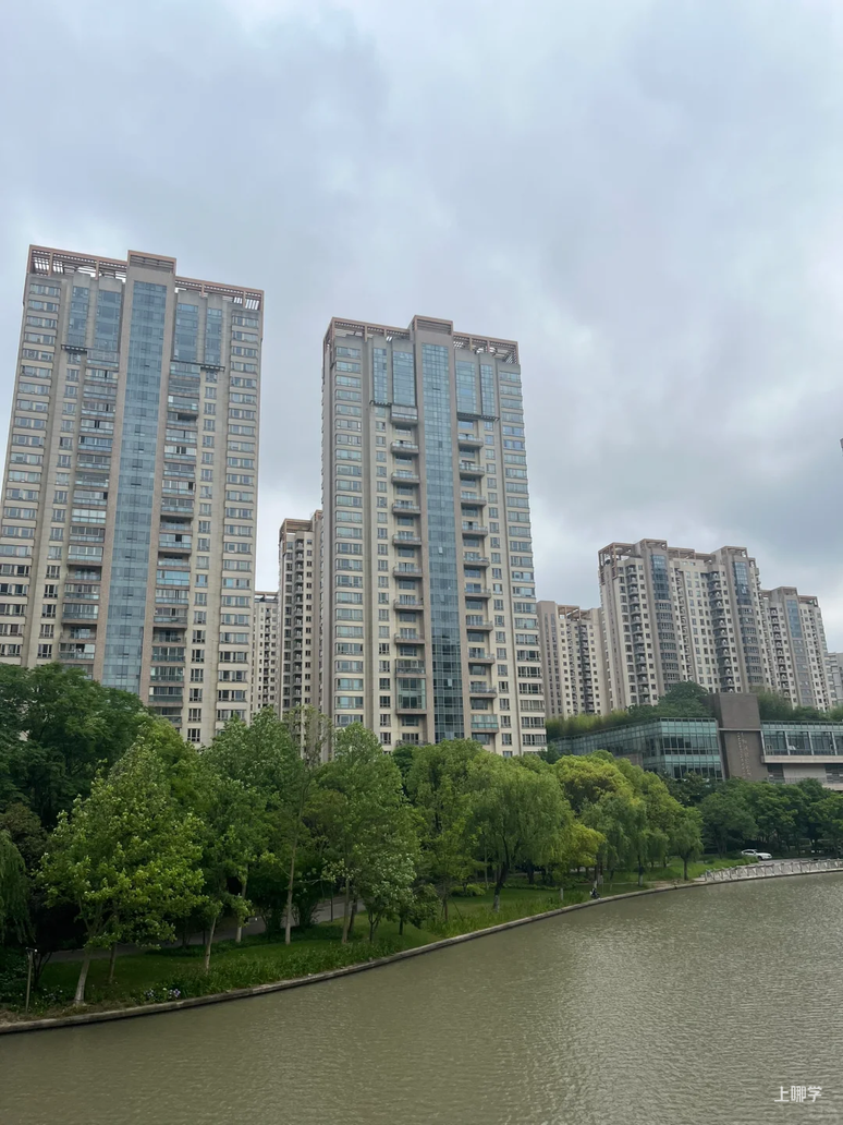 800-1200万买浦东学区最正确的思路！相关资料 10