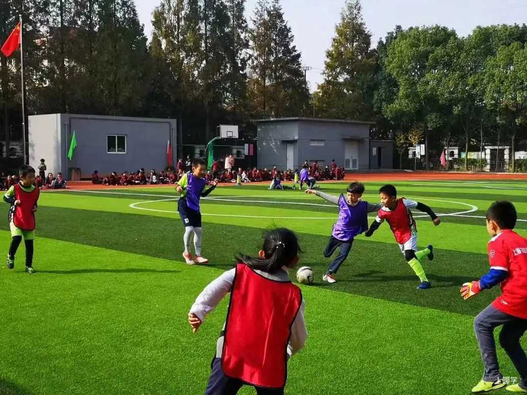田园外语实验小学丨人户一致被统筹，上海这所公办小学越来越抢手！对口初中被星河湾托管！相关资料 13