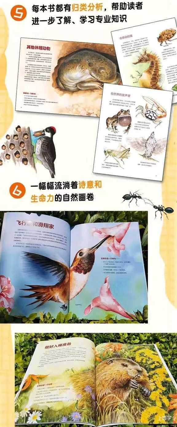 5岁后，孩子这种表现是当学霸的料！说明你把孩子养得很好相关资料 39