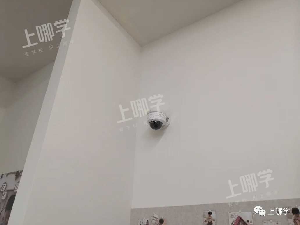 托班开放日限额来袭！黄浦区这家托育园带你体验PBL托班的教学特色相关资料 32
