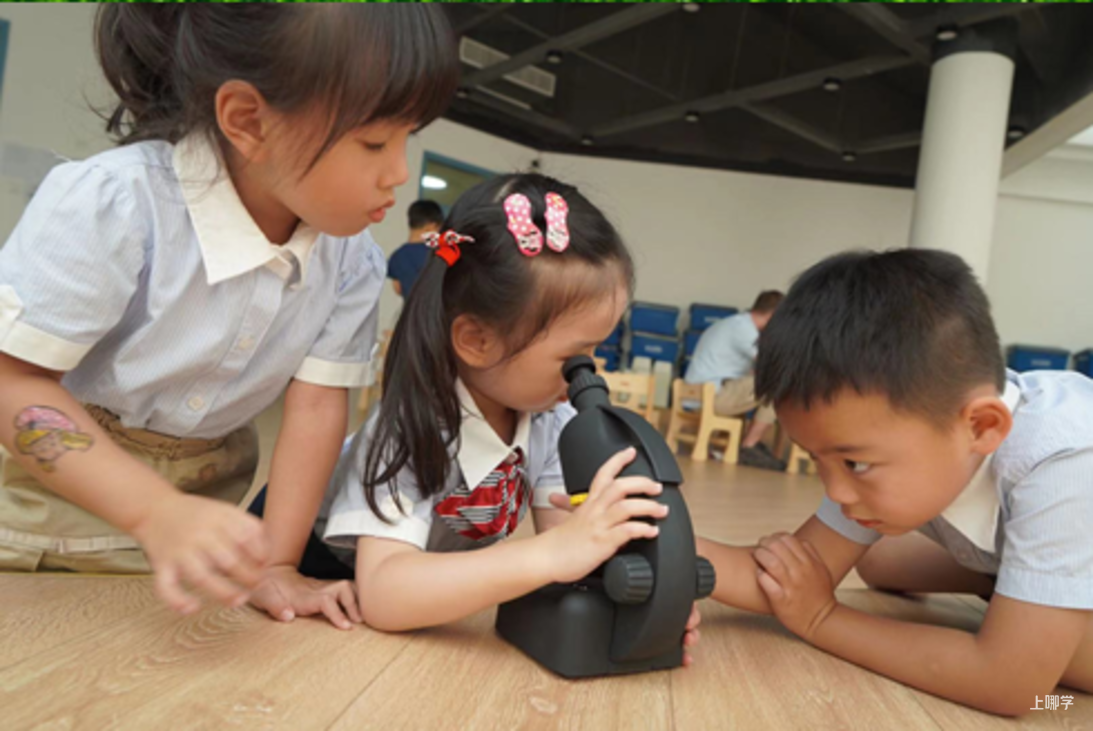 上海宝山区哈贝双语幼儿园2022学年招生简章相关资料 7