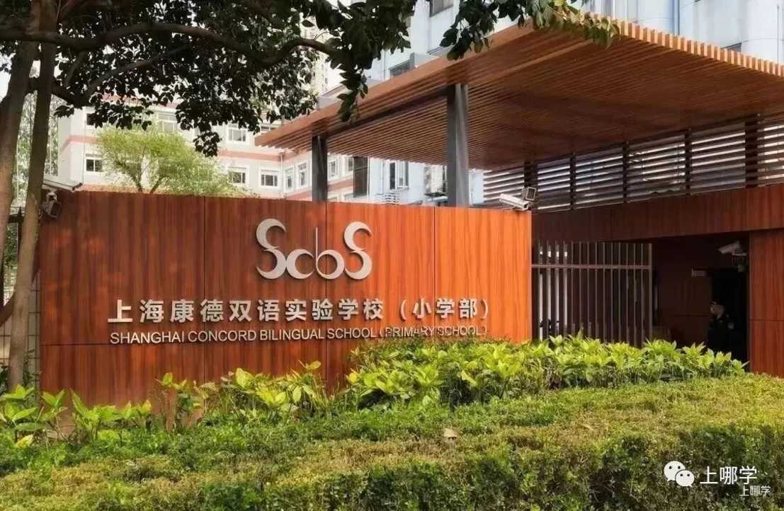 可跨区填报！2025年上海全市招生民办小学名单出炉，今年新增2所！多校减招！相关资料 5