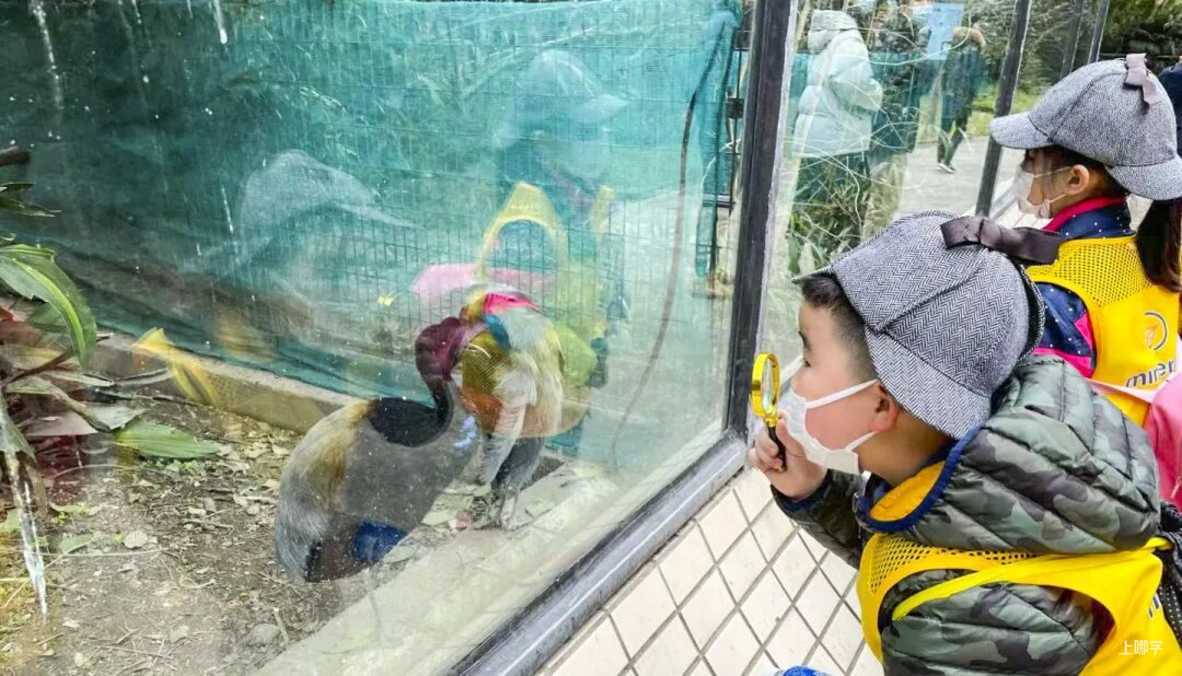 元旦寒假全覆盖！超50种上海高品质单日营灵活约！相关资料 22