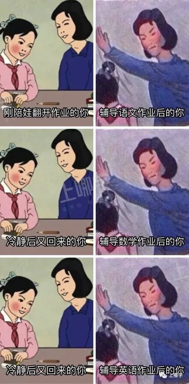 今天！祝所有“无证上岗”的家庭教师节日快乐！太真实了哈哈哈哈哈哈相关资料 10