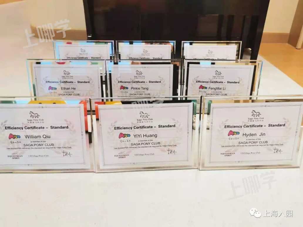 爱菊托育园｜美爆了！上海这所开在公园里的超热门托育园，双语教学，还可晚托到18点！相关资料 26