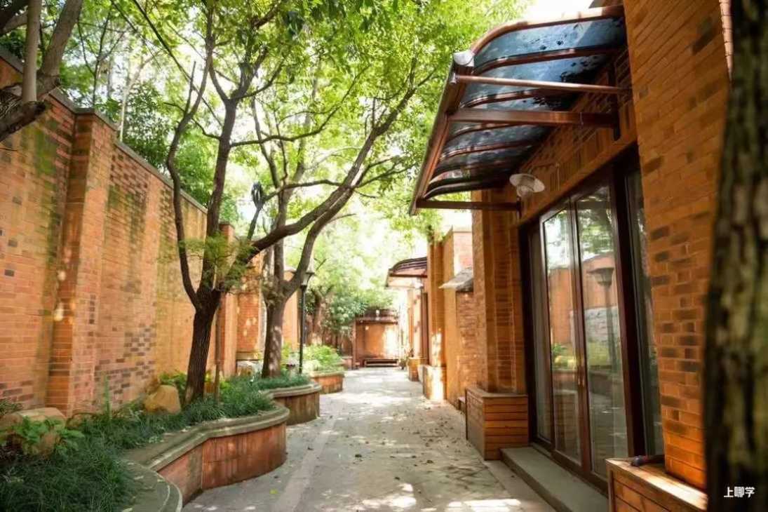 特辑必看！热门幼儿园、托育园！老牌名校、素质教育、更有托幼一体！尤其浦东爸妈，看哪个最适合宝贝？相关资料 22