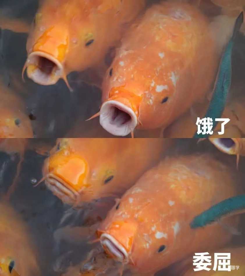 在魔都顶尖高中读书，我流过的泪比过去15年都多相关资料 9