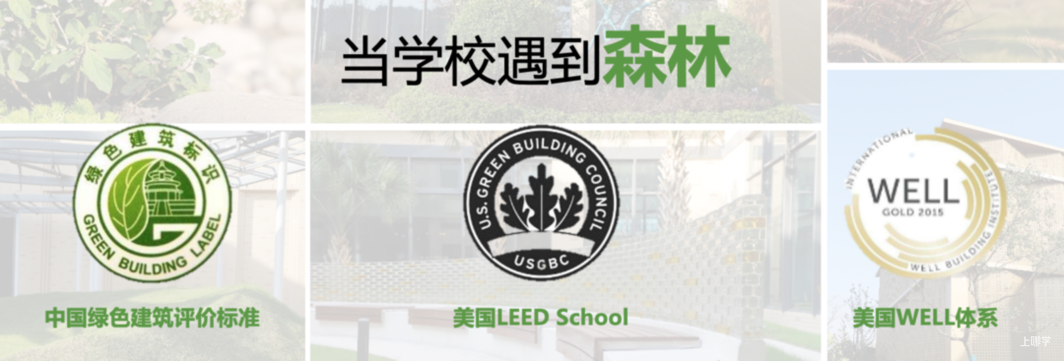 一位业界“传奇”校长！曾办学校一位难求，再次返沪履新成为头条新闻！相关资料 25