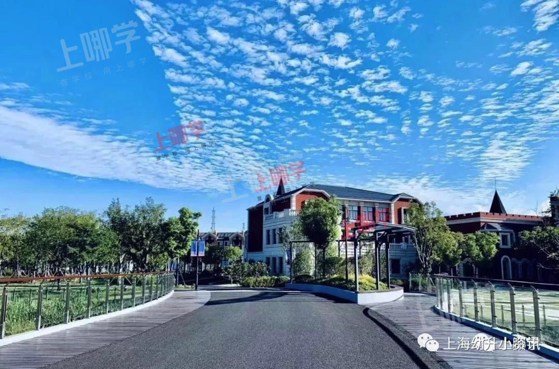 不买学区进公办！上海幼升小竟有5种入学方式！除了对口、摇号，还有零志愿全市招生！相关资料 7