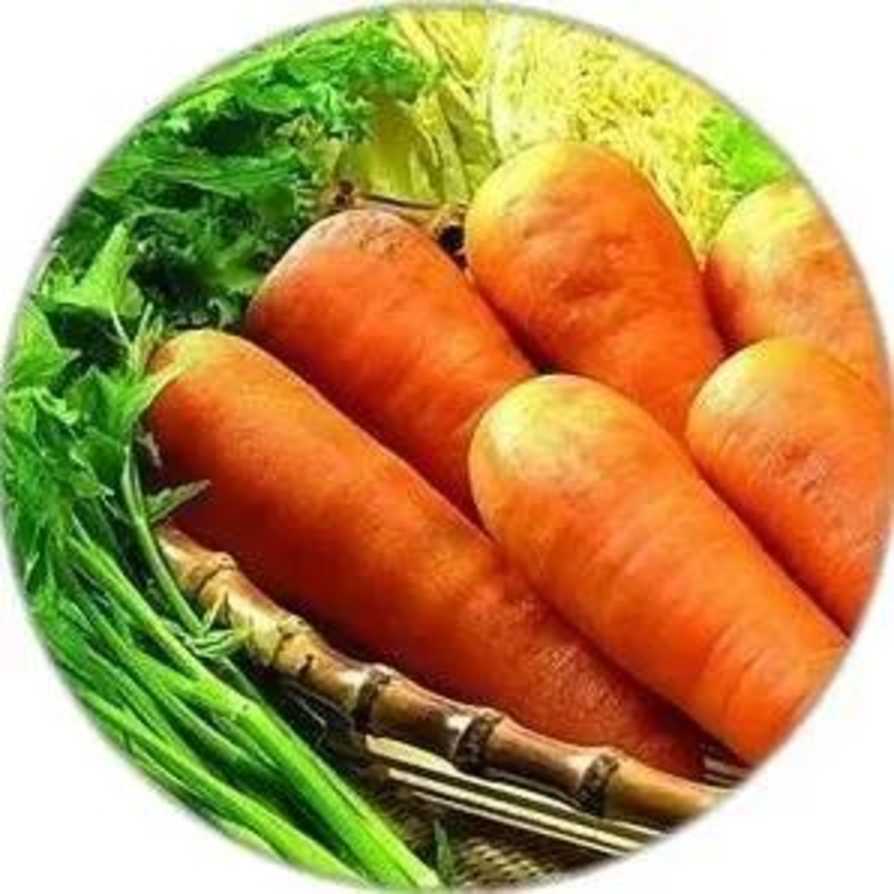 护眼果蔬！上海居家学习期间，家长可以这样保护孩子视力！相关资料 19
