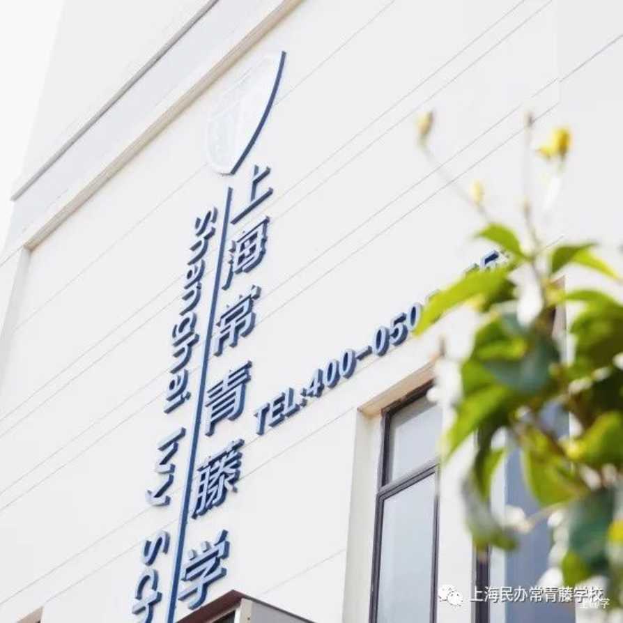 浦东家长注意！这所融合课程小学，素质教育抓得紧！相关资料