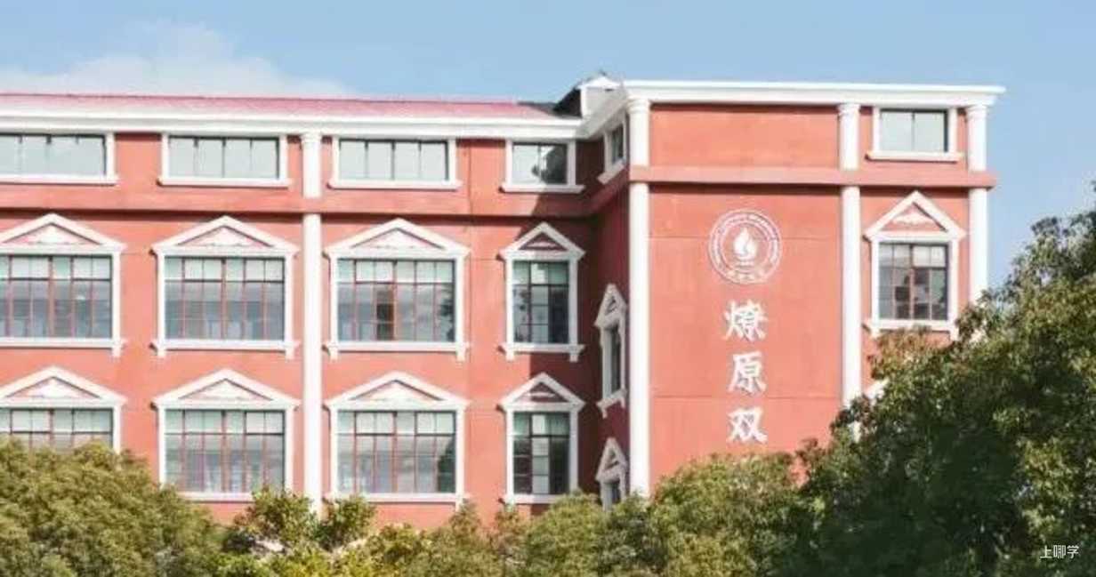全市招生！最新双语小学开放日信息汇总～选学校，就看这篇！相关资料 7