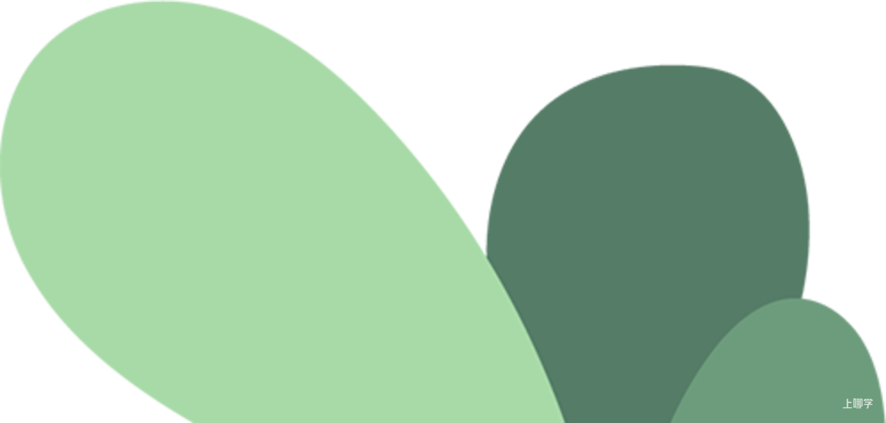 2025年上海市高中阶段学校招生最低投档控制分数线确定！附相关招生录取工作问答~相关资料 2