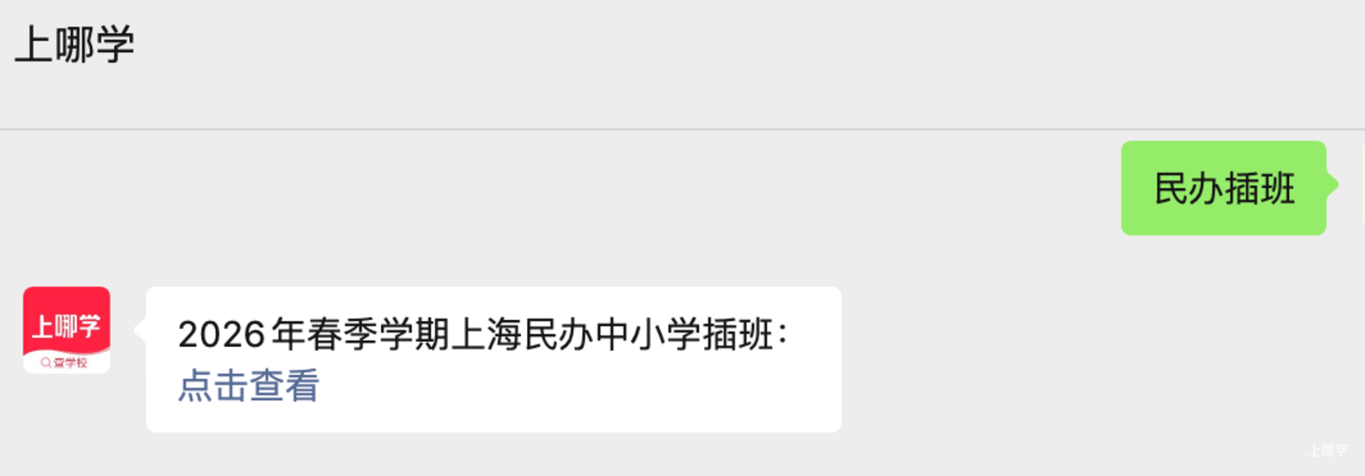 上海一民办学校发布2026年春季插班生招生公告！针对这3个年级！相关资料 21