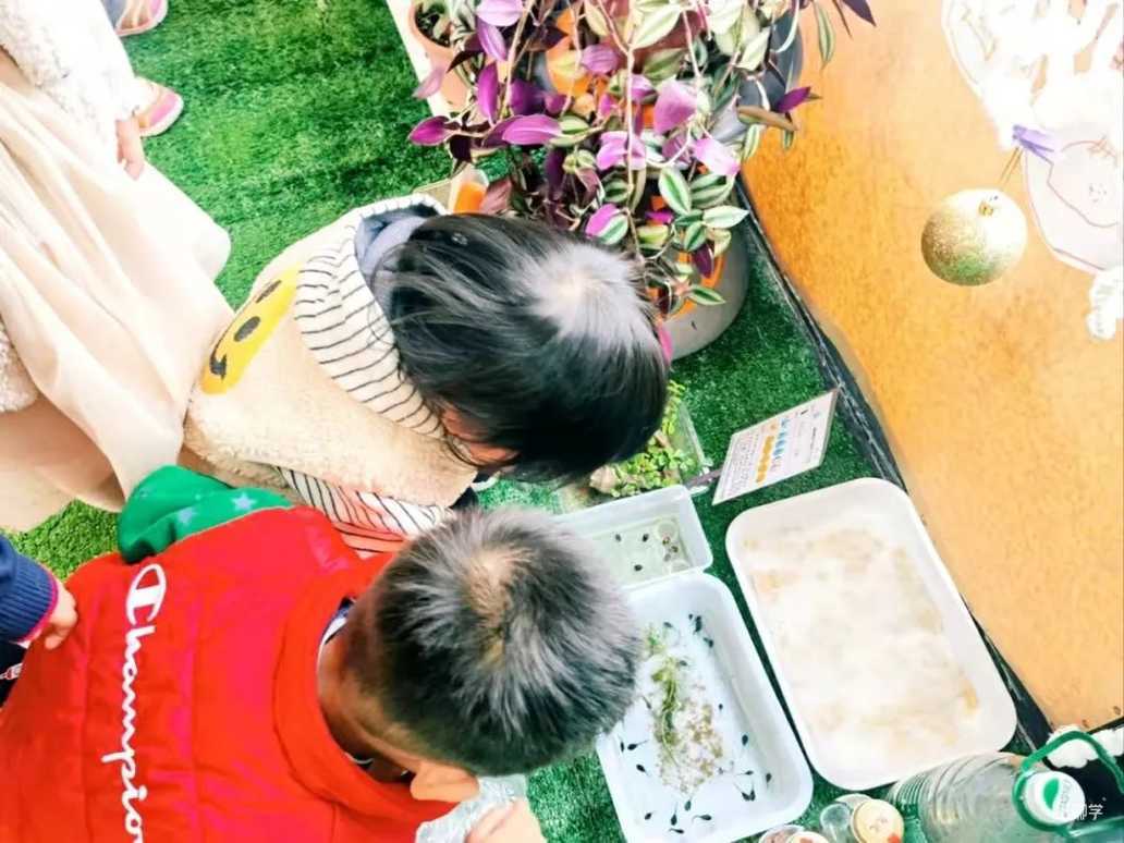 上海宝山区哈贝双语幼儿园2022学年招生简章相关资料 39